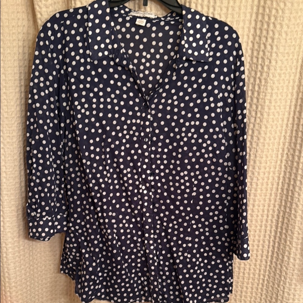 Coldwater Creek Blue Button Down Shirt with Notched Collar